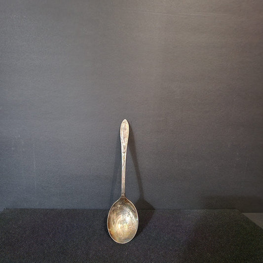 Vintage 1881 Roger's Silver Plate Spoon